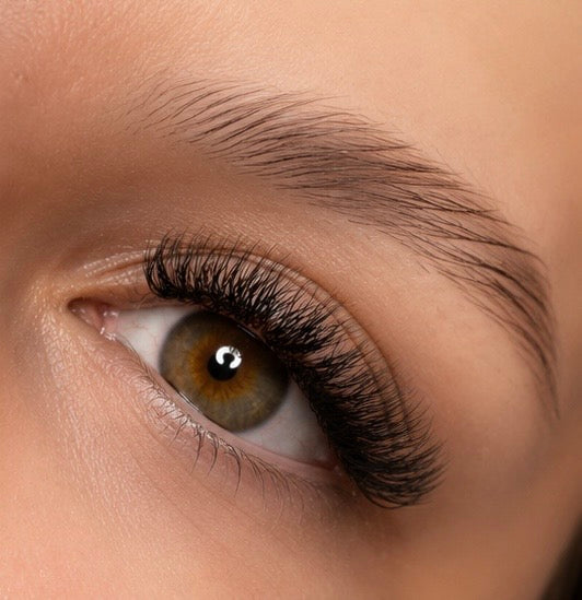 Extensions de cils - Pose complète