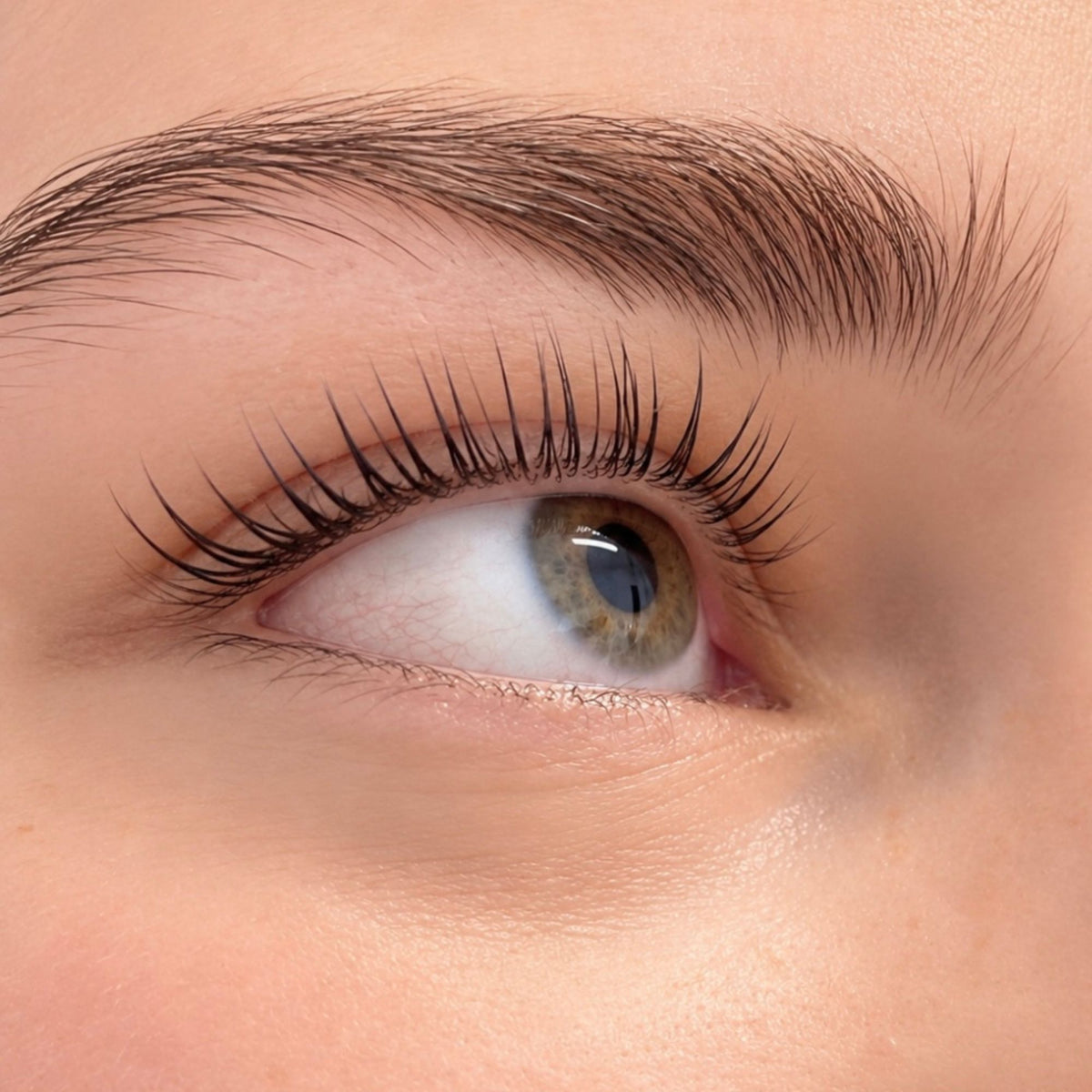 Lashlift Coréen