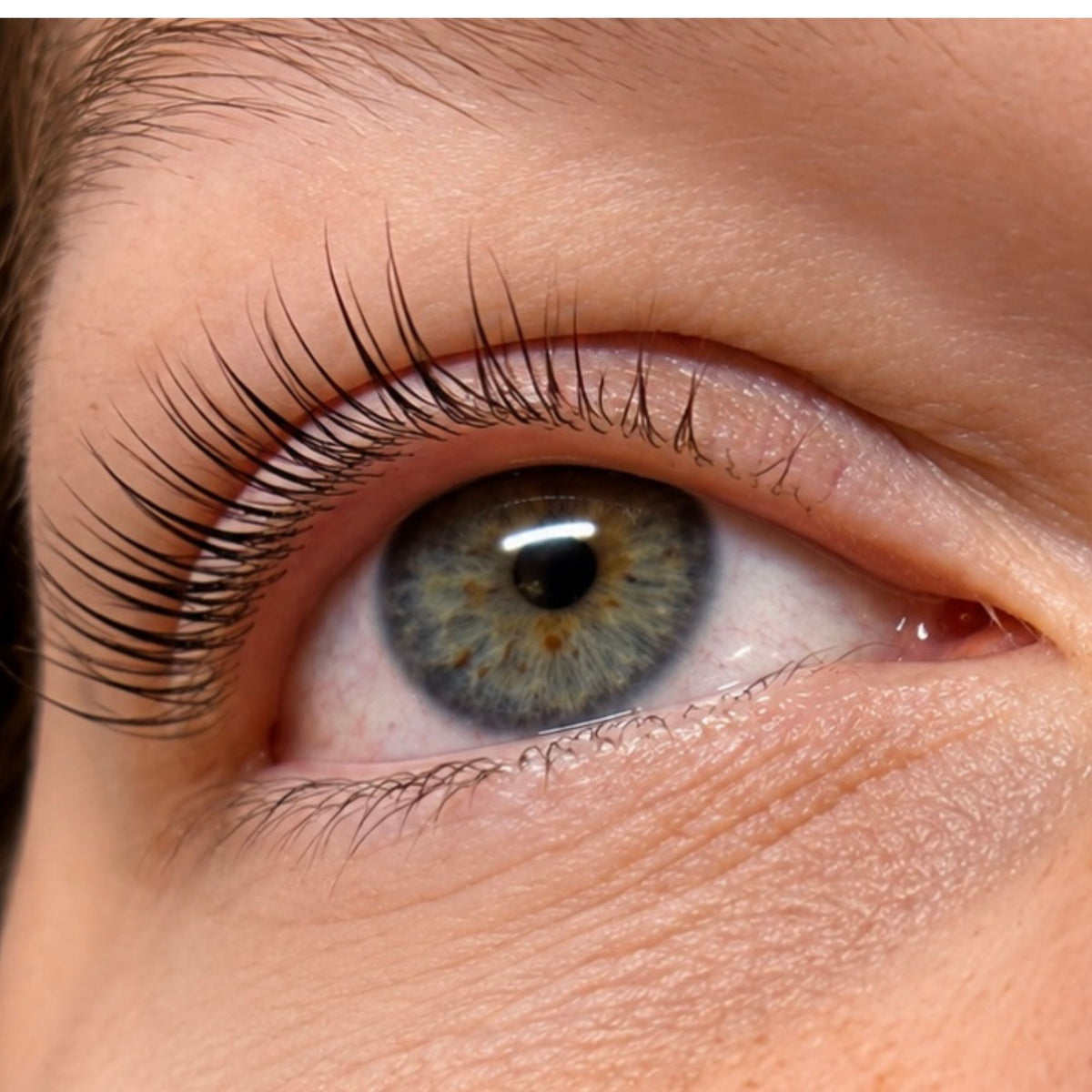 Lashlift Coréen