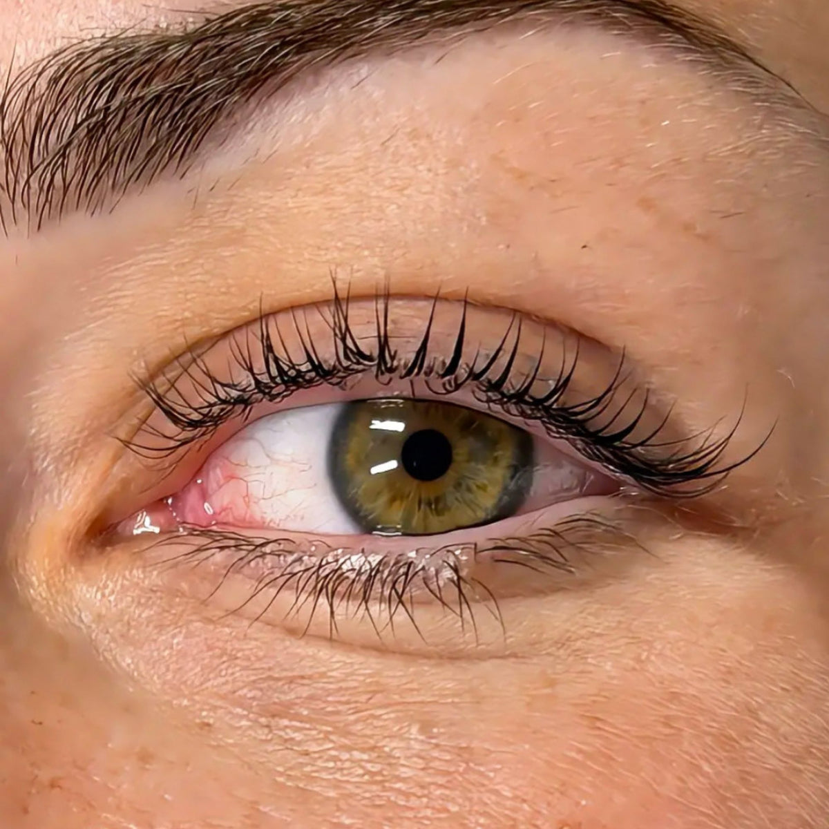 Lashlift Coréen