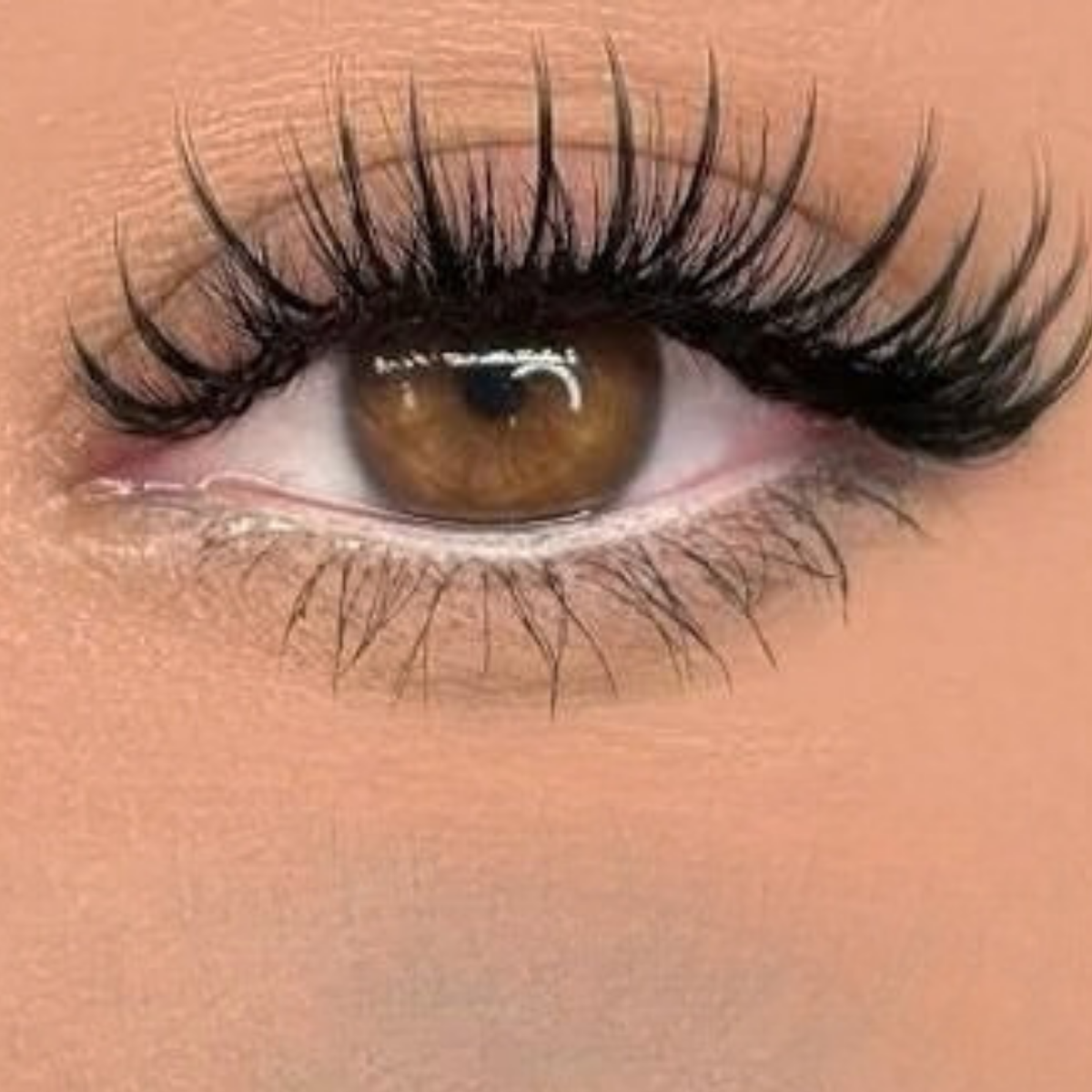 Pose complète d’extensions de cils — Styles variés