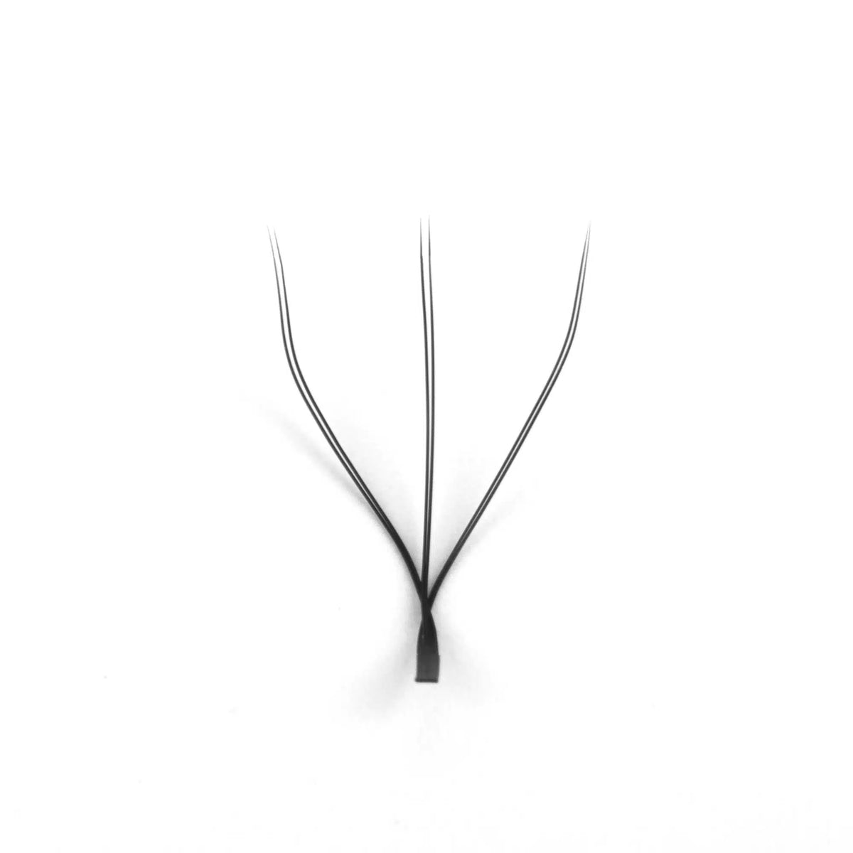Extensions de cils - Pose complète